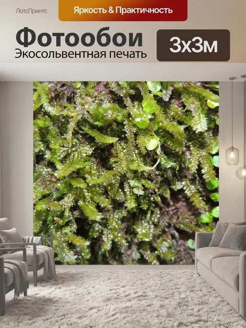 Фотообои моховой рок