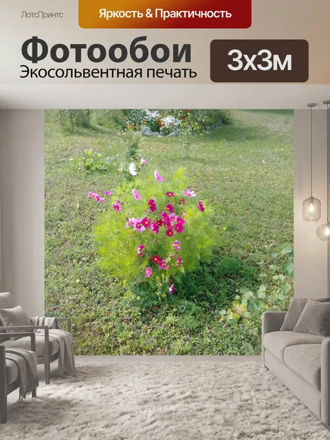 Фотообои Космос Соната 2018 7