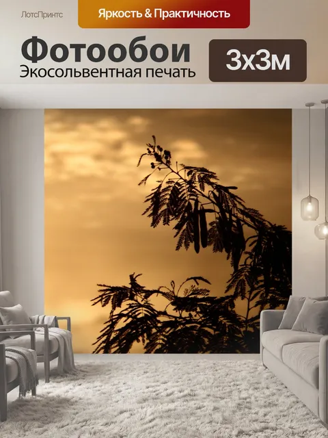 Фотообои Тропические деревья силуэт на закате