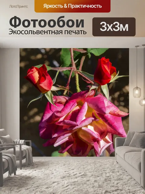 Фотообои Розы