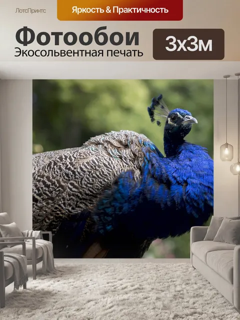 Фотообои Птица