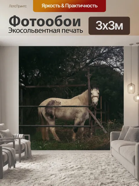 Фотообои Horse