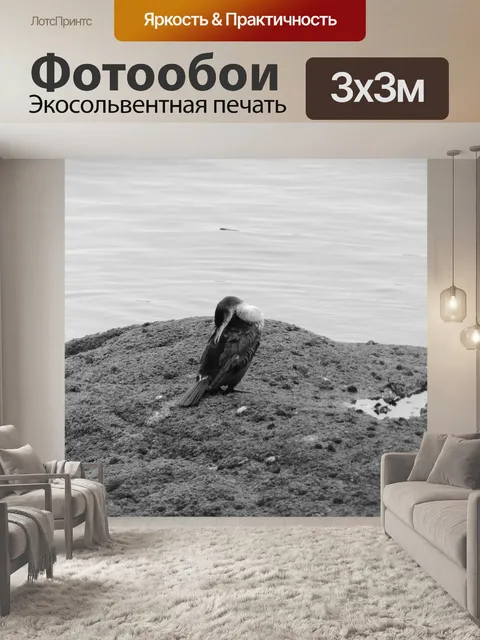 Фотообои Баклан делает свою уборку