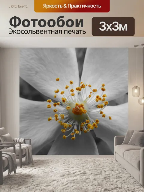 Фотообои Цветок