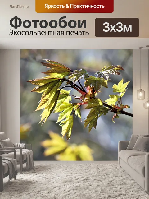 Фотообои Весна