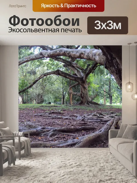 Фотообои привидениями сада