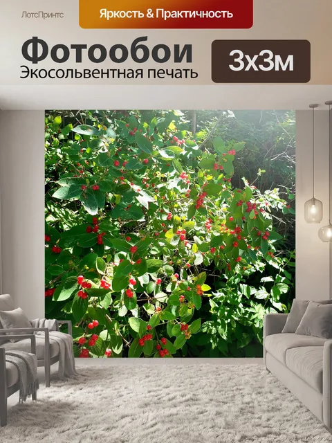 Фотообои Красный Берри Буш