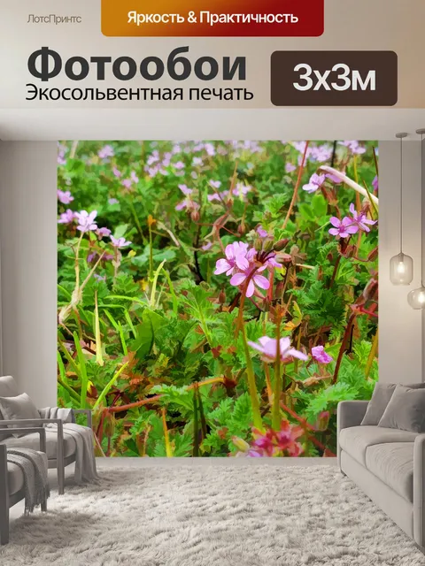 Фотообои Полевые цветы