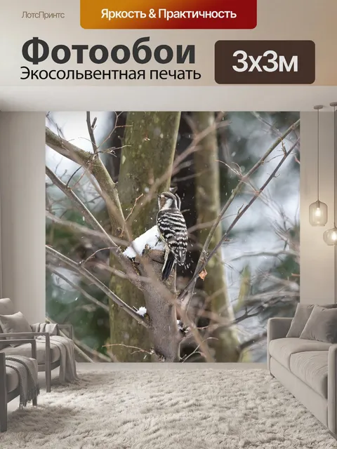 Фотообои Животное