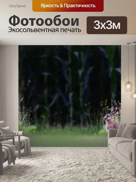 Фотообои Кролик