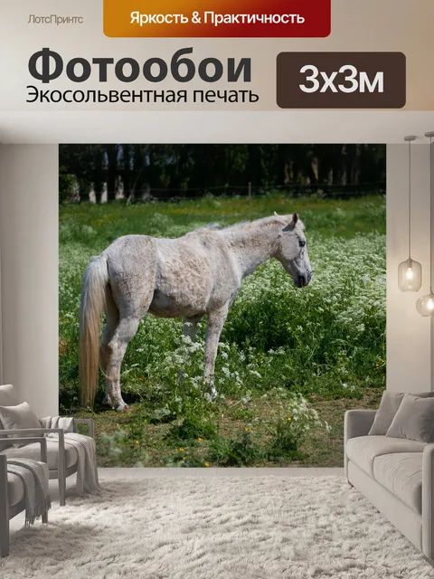 Фотообои Лошадь, гора, пейзаж