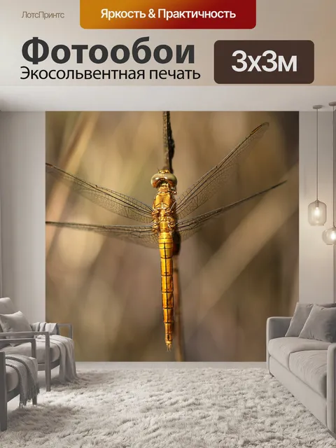 Фотообои Стрекоза