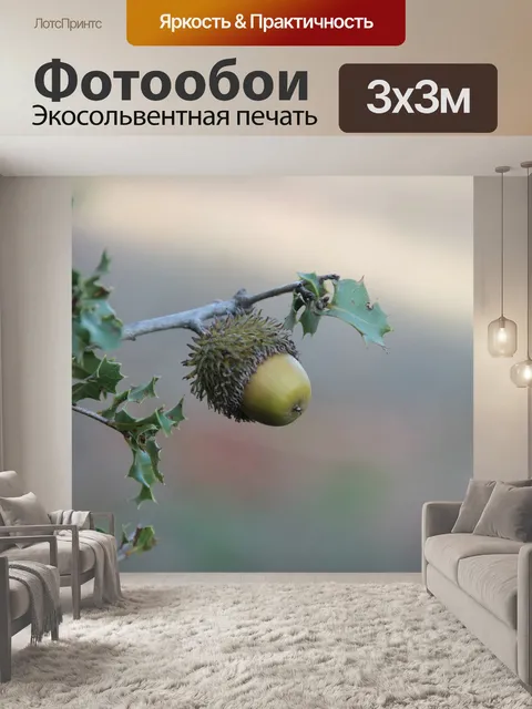 Фотообои Бонито