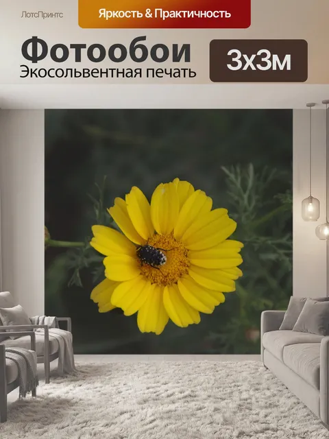 Фотообои Желтая ромашка с черным жуком
