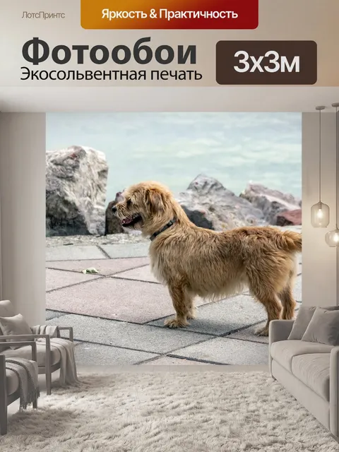Фотообои Собака