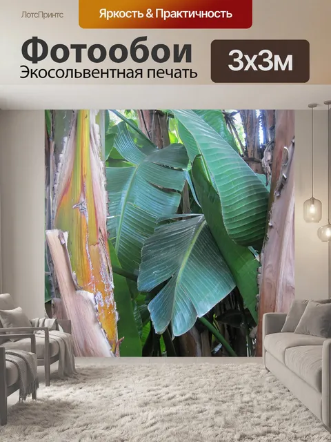 Фотообои большие листья бананового дерева