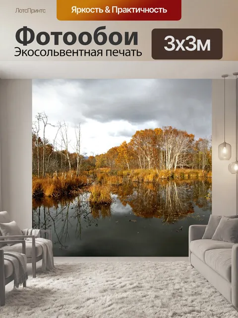 Фотообои Лес