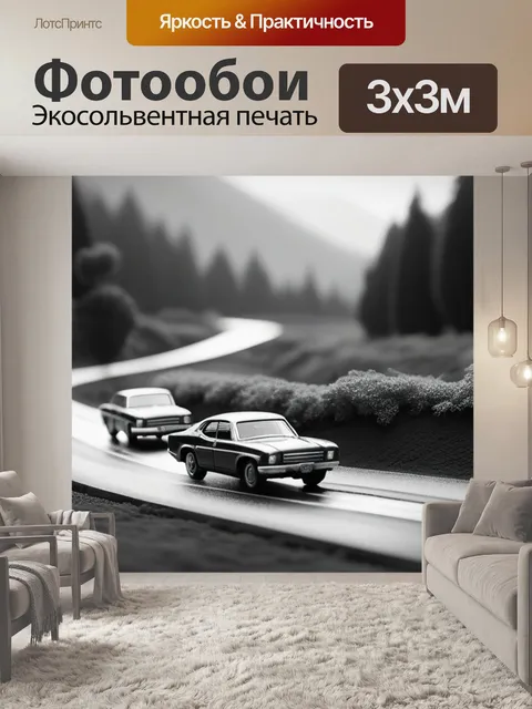 Фотообои пейзаж с машинами чернобелый