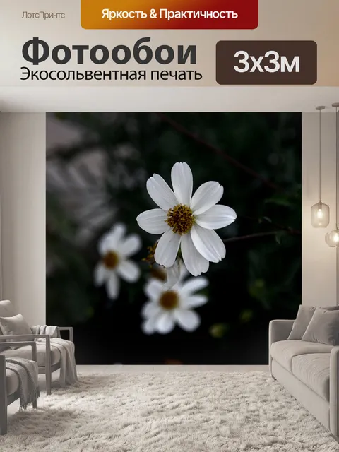 Фотообои Белые цветы против черного