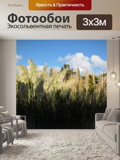 Фотообои Трава