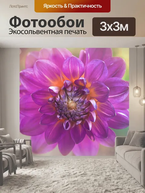Фотообои Цветок георгина цветок розовый