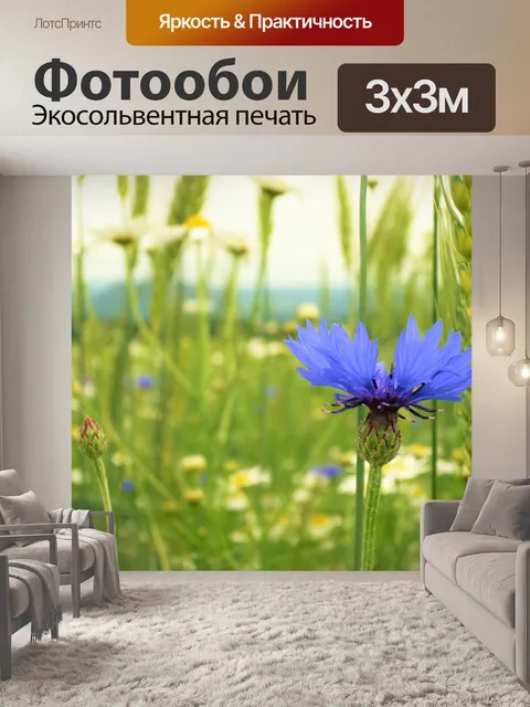 Фотообои Поле