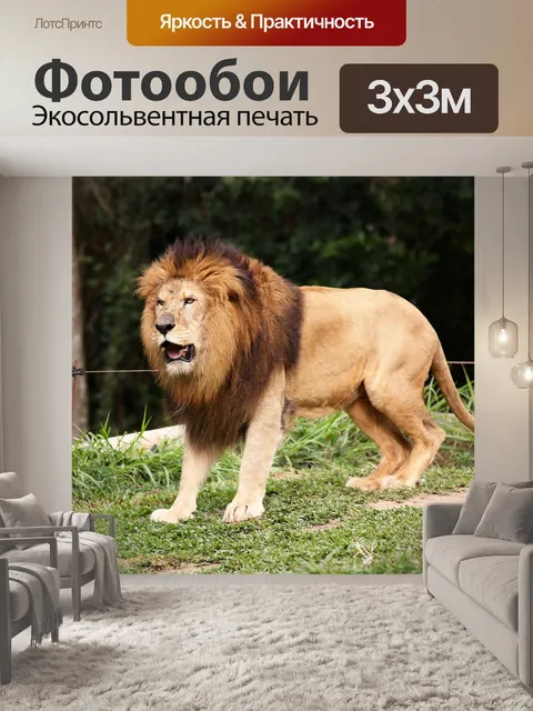 Фотообои Лев