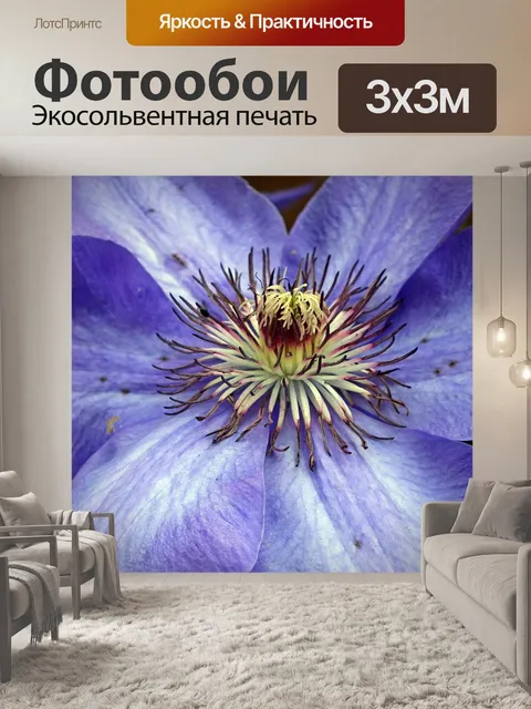 Фотообои Цветок