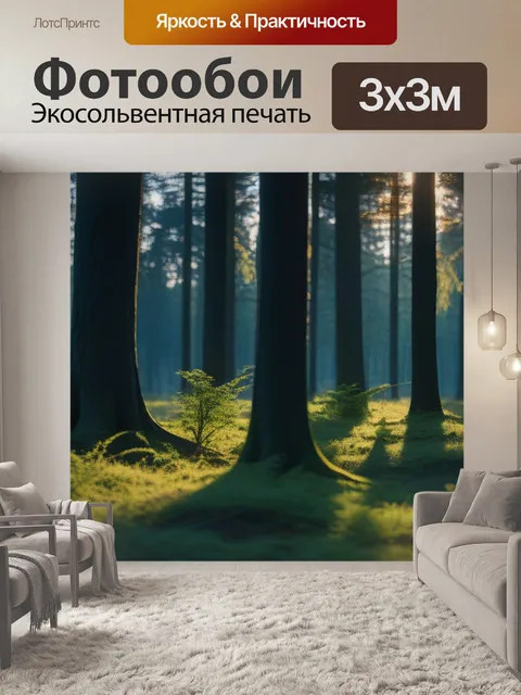Фотообои лес, затопленный вечерним светом