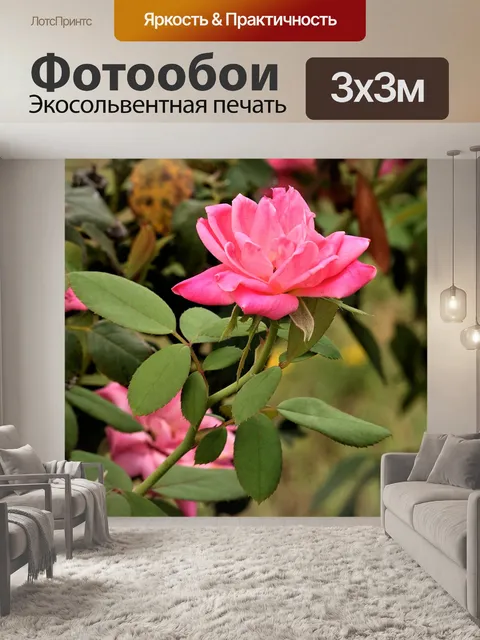 Фотообои Одиночная розовая роза