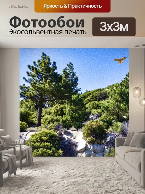 Фотообои Орел летит к деревьям