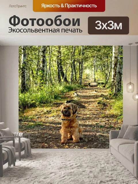 Фотообои Березы
