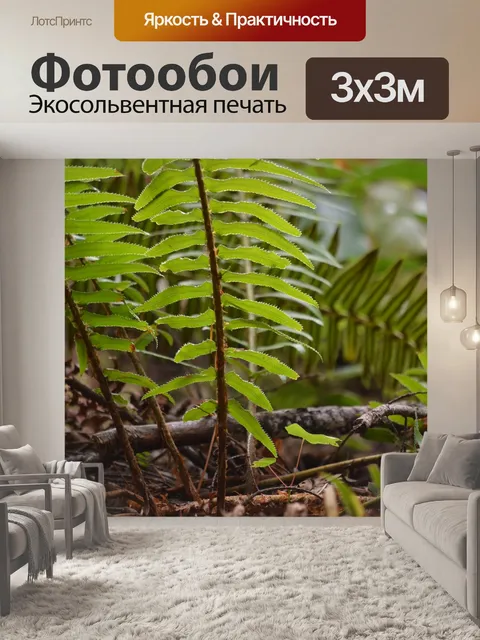 Фотообои Папоротник