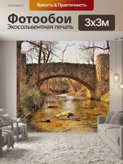 Фотообои Мост Рок-Крик зимой