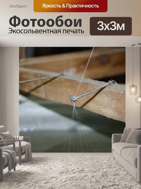Фотообои Шелковая нить