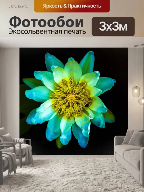 Фотообои цветок лотоса