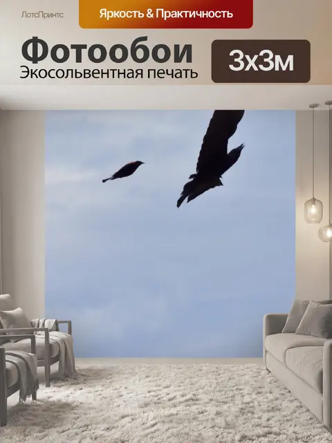 Фотообои Птицы в небе