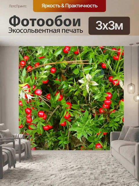 Фотообои Красные ягоды завод