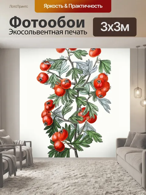 Фотообои Ягоды красные ветки растения
