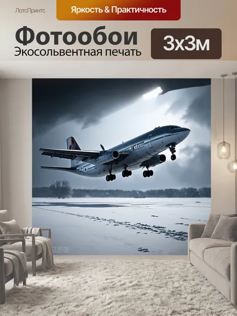 Фотообои пейзаж с самолётом туполева, который приземляется на заснеженную землю в условиях метели