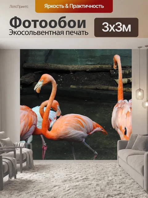 Фотообои Фламинго