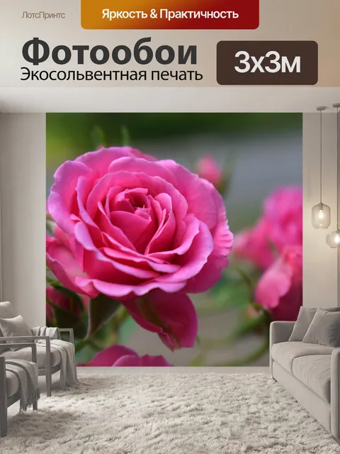 Фотообои Розы