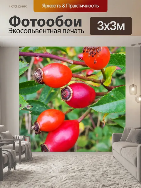 Фотообои Шиповника