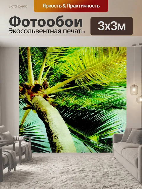 Фотообои Вид на навес пальмы