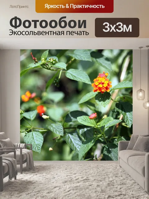 Фотообои поле цветок, отпуск и фруктов