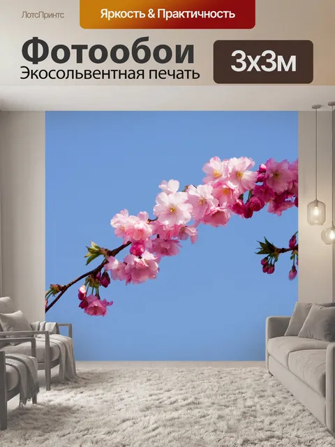 Фотообои Розовые цветы цветут