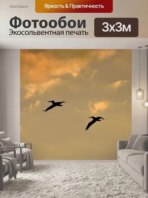Фотообои Пеликаны пролетел над рекой