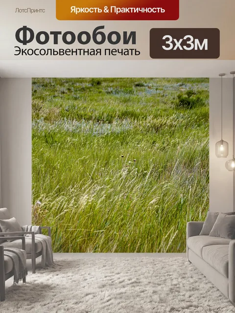 Фотообои Травяной луг