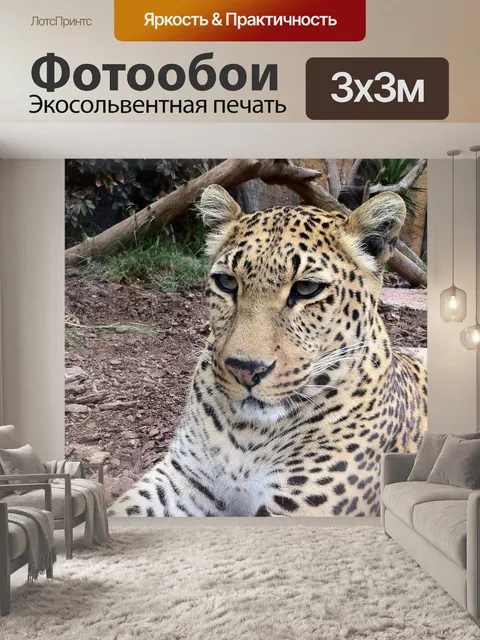 Фотообои Леопард