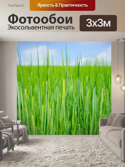 Фотообои Семя